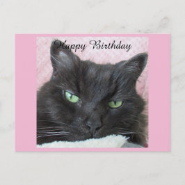 Black Cat Birthday-vykort Vykort