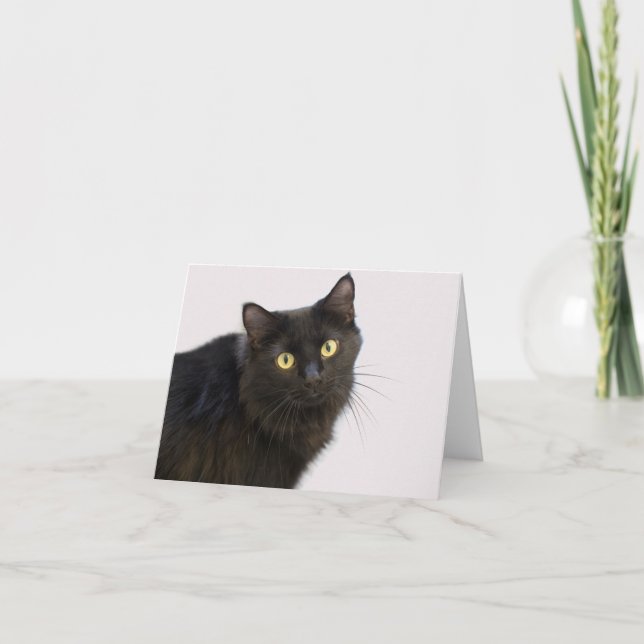 Black Cat Blank Card by Focus for a Cause Kort (Framsida)