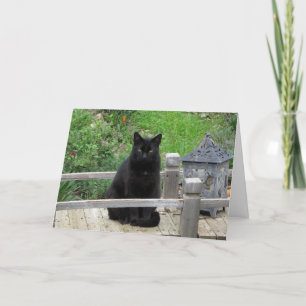 Black Cat Bridge - det bästa födelsedagskortet Kort