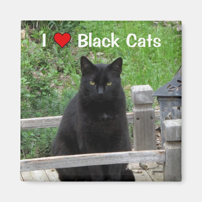 Black Cat Bridge I Kärlek Svarta katter Magnet (Framsidan)