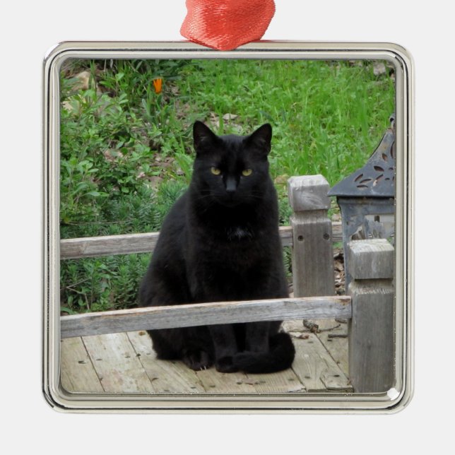 Black Cat Bridge Ornament (Framsidan)