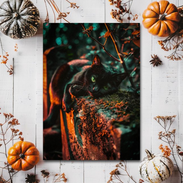 Black Cat Cemetery Vykort (Skapare uppladdad)