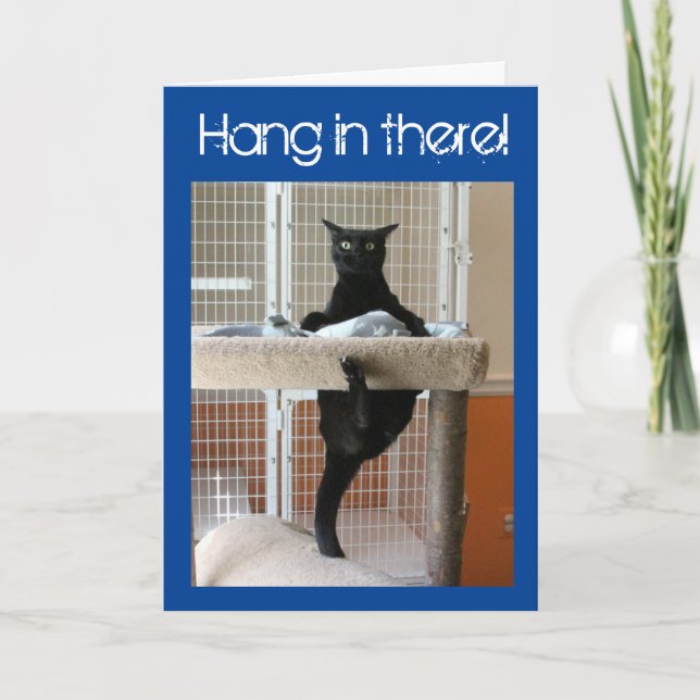 Black Cat Clinging till Cat Träd Kort (Framsida)