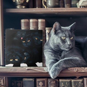 Black Cat Cuddle Kakelplatta