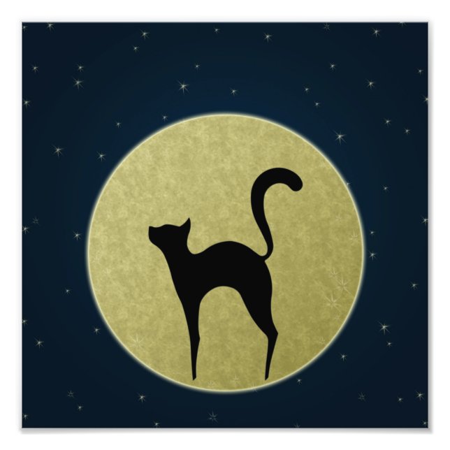 Black cat elegant silhouette och måne fototryck (Framsidan)