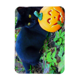 Black Cat Fall Photo Magnet