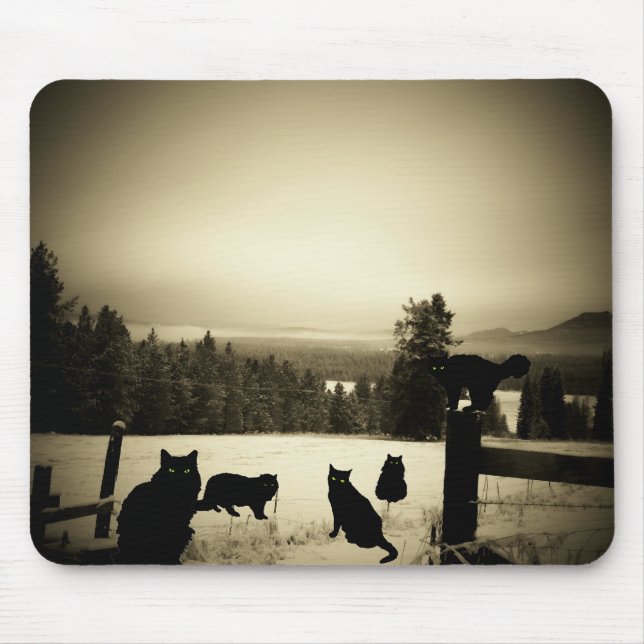 Black Cat Farm Musmatta (Framsidan)