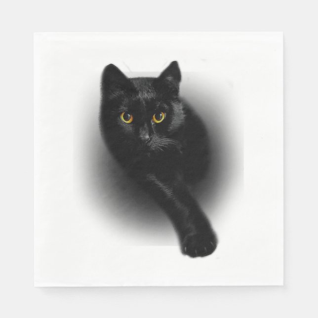 Black Cat Filing Nagel Pappersservett (Framsidan)
