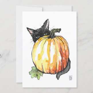 Black Cat Flat - tack, ditt kort