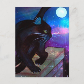 Black Cat Full Moon Vykort