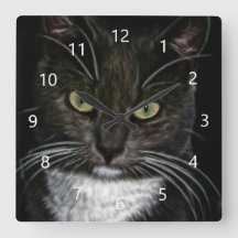 Black Cat