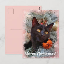 Black Cat God jul