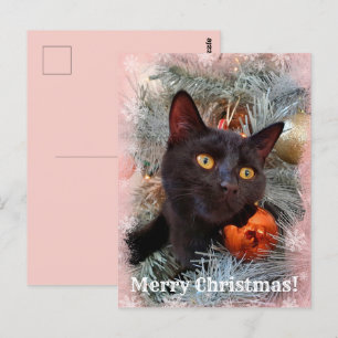 Black Cat God jul Vykort