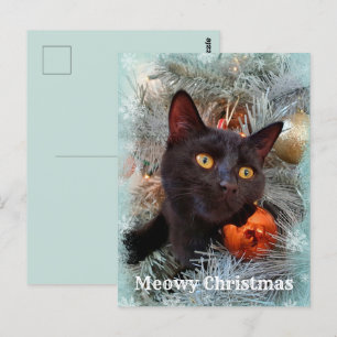 Black Cat God jul Vykort