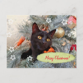Black Cat God jul Vykort