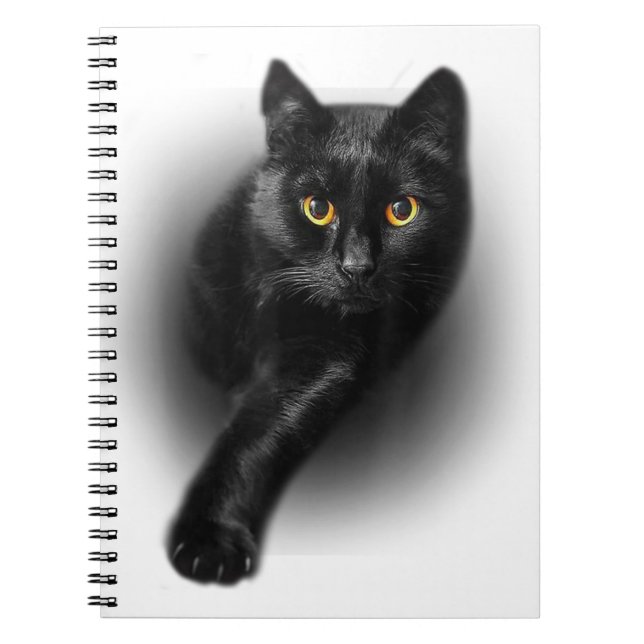 Black Cat Gult Öga Cats Anteckningsbok (Framsidan)