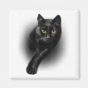 Black Cat Gult Ögon Cats Tee Gifts Mors dag Magnet