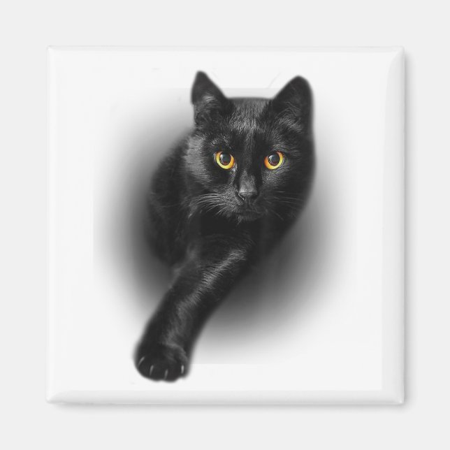 Black Cat Gult Ögon Cats Tee Gifts Mors dag Magnet (Framsidan)