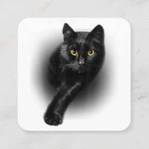 Black Cat Gult Ögon T-Shirt Cats Tee Fyrkantigt Visitkort