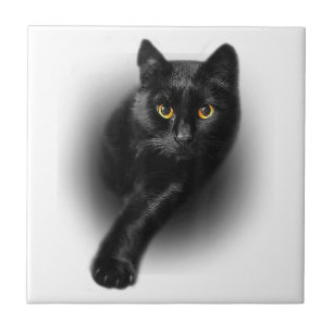 Black Cat Gult Ögon T-Shirt Cats Tee Kakelplatta
