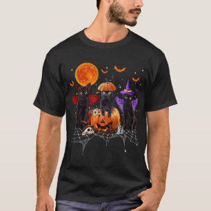 Black Cat Halloween, Black Cat Sitta på Pumpkin T Shirt
