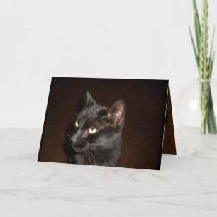 BLACK CAT HALLOWEEN-kort Kort