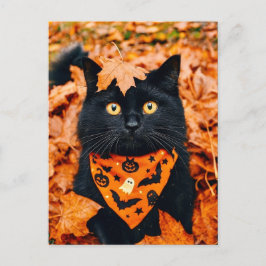 Black Cat Happy Halloween Postcard Vykort