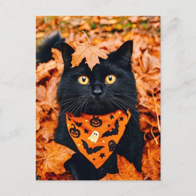 Black Cat Happy Halloween Postcard Vykort (Framsida)