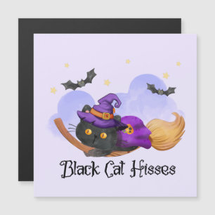 Black Cat Hisses