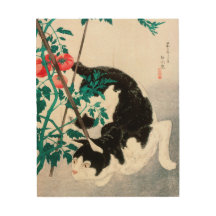 Black Cat Hissing 1900-talet