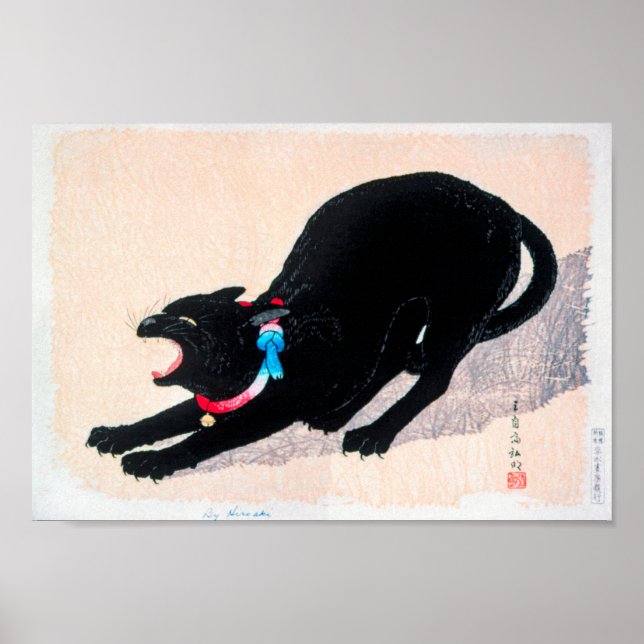 Black Cat Hissing Fine Art av Hiroaki Takahashi Poster (Framsidan)