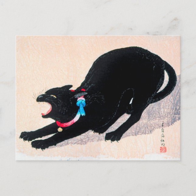 Black Cat Hissing Fine Art av Hiroaki Takahashi Vykort (Framsida)
