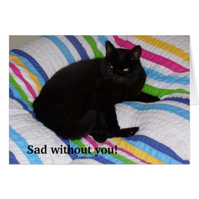 Black Cat i Bed Hälsningskort (Framsidan Horizontal)