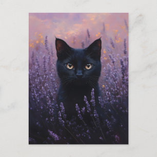 Black Cat i Lavender Fält Illustration Vykort