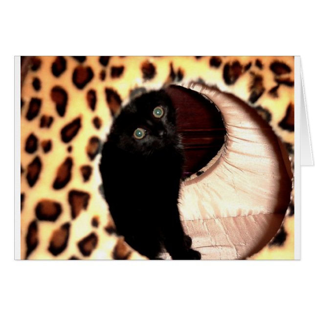 Black Cat i leopard hooch Hälsningskort (Framsidan Horizontal)