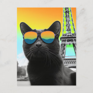 Black Cat i Sunglasses i Paris Vykort