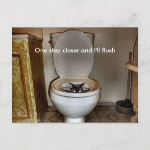 Black Cat in Toilet Vykort
