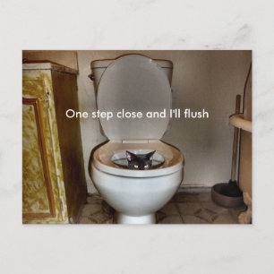 Black Cat in Toilet Vykort