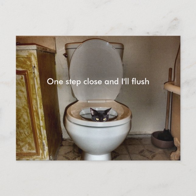 Black Cat in Toilet Vykort (Framsida)