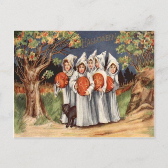 Black Cat Jack o lantern Pumpkin Ghost Vykort (Framsida)