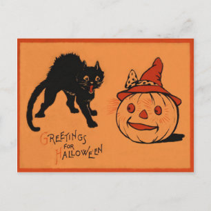 Black Cat Jack o lantern Pumpkin Witch Hat Vykort