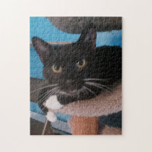 Black Cat Jigszle Puzzle