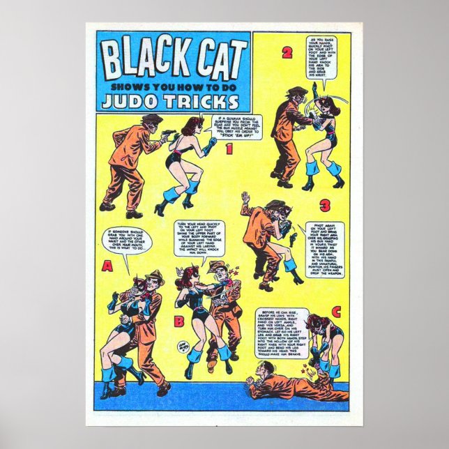 Black Cat Judo Tricks Poster (Framsidan)