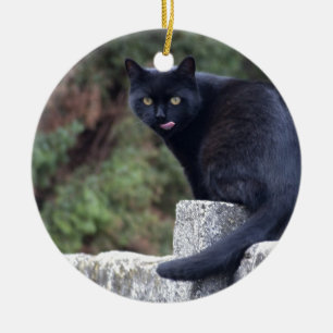 Black Cat Julgransprydnad Keramik