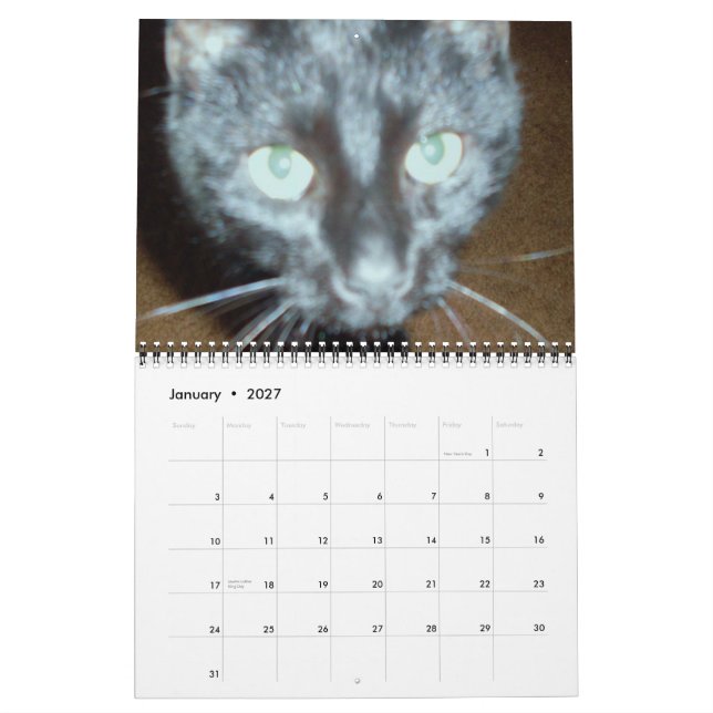 BLACK CAT-kalendern Kalender (Jan 2027)