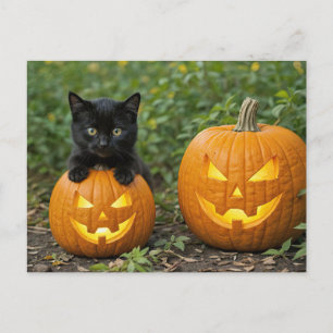 Black Cat Kitten med Jack o lantern Halloween Helg Vykort