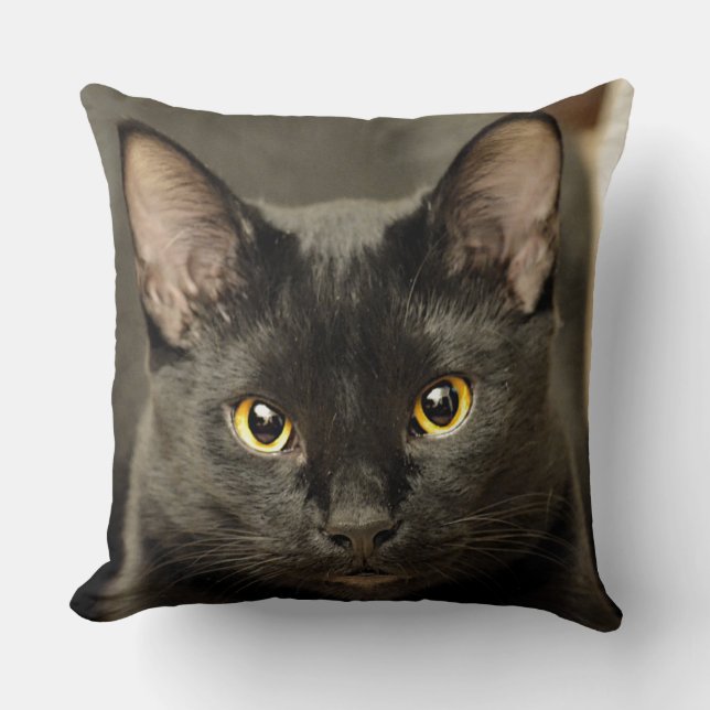 Black Cat Kudde (Framsida)