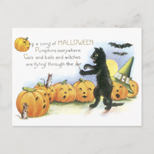 Black Cat Leading Jack O'Lantern Halloween Choir Vykort