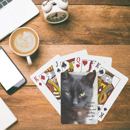 Black Cat Lover-bild med motiv offert Casinokort