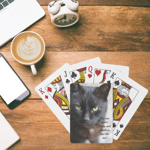 Black Cat Lover-bild med motiv offert Casinokort